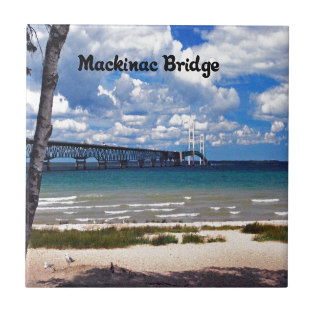 Azulejo De Cerámica Michigan (Frente)