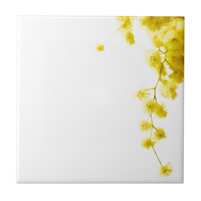 Azulejo De Cerámica Mimosa (Frente)