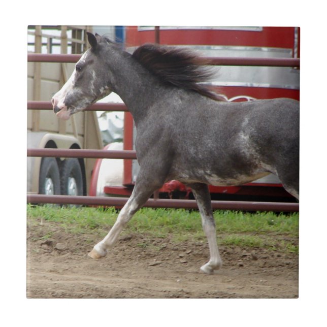 Azulejo De Cerámica Mini caballo en clase Libertad (Frente)