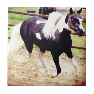 Azulejo De Cerámica Mini caballo en la libertad