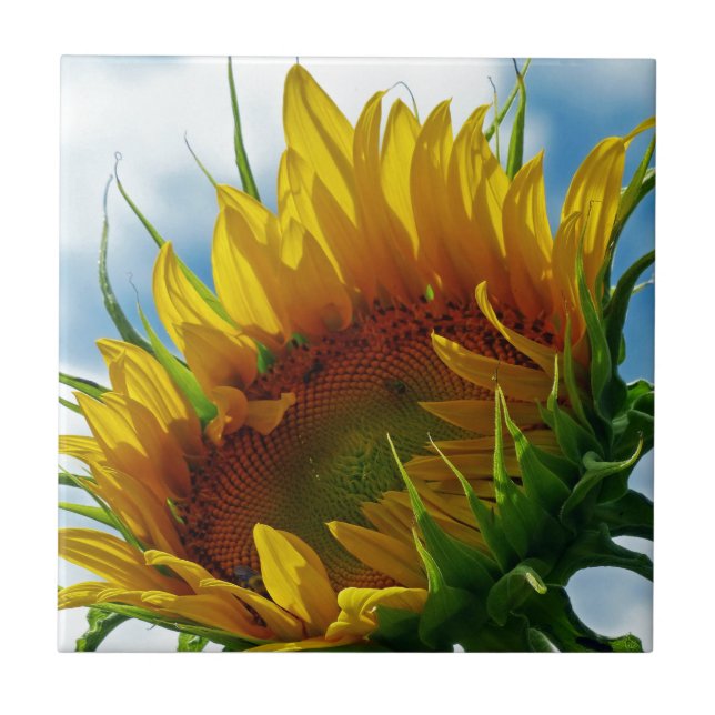 Azulejo De Cerámica Mirando hacia el sol (Frente)