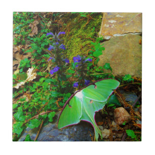 Azulejo De Cerámica Moda Luna Verde