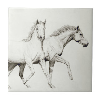 Azulejo De Cerámica Modifique un caballo para requisitos particulares
