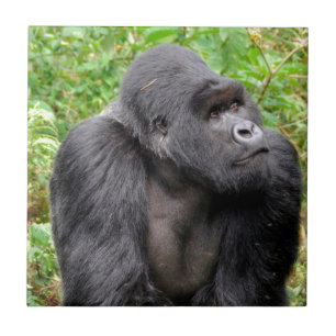 Azulejo De Cerámica Mono Feliz