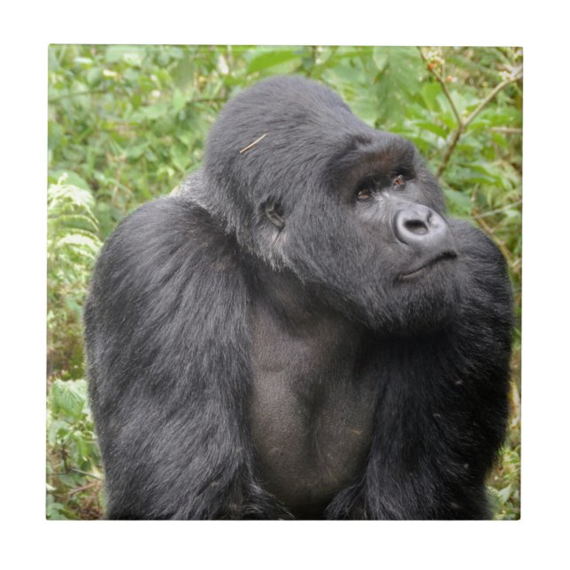 Azulejo De Cerámica Mono Feliz (Frente)