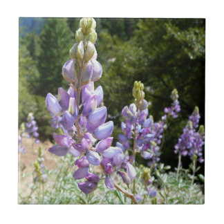 Azulejo De Cerámica Montaña Lupins en Yosemite