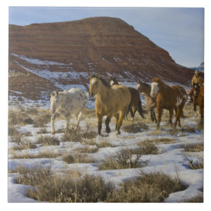 Azulejo De Cerámica Montañas del Cuerno, caballos corriendo en la niev