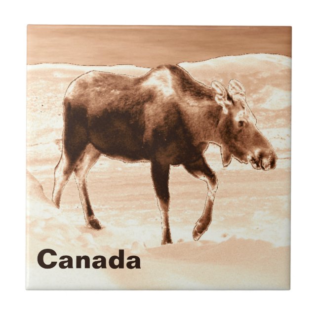 Azulejo De Cerámica Moose de chocolate de leche (Frente)