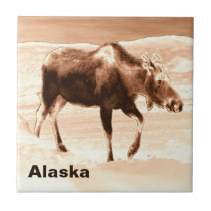 Azulejo De Cerámica Moose de chocolate de leche