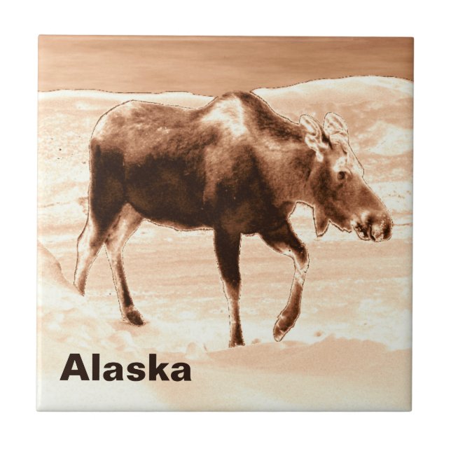 Azulejo De Cerámica Moose de chocolate de leche (Frente)