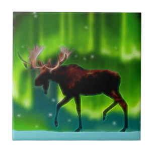 Azulejo De Cerámica Moose de las luces del norte
