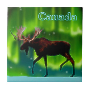 Azulejo De Cerámica Moose de las luces del norte