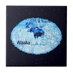 Azulejo De Cerámica Moose urbano