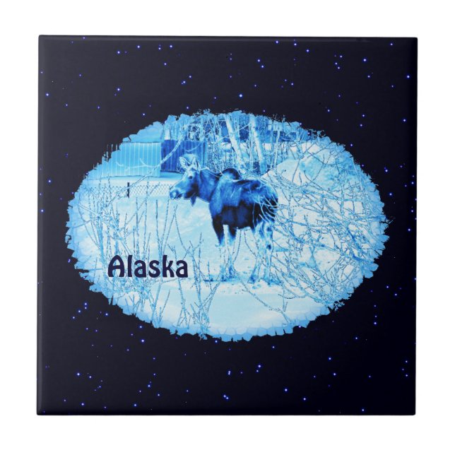 Azulejo De Cerámica Moose urbano (Frente)