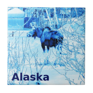 Azulejo De Cerámica Moose urbano