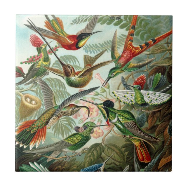 Azulejo De Cerámica Mosaico (Frente)