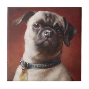 Azulejo De Cerámica Mosaico