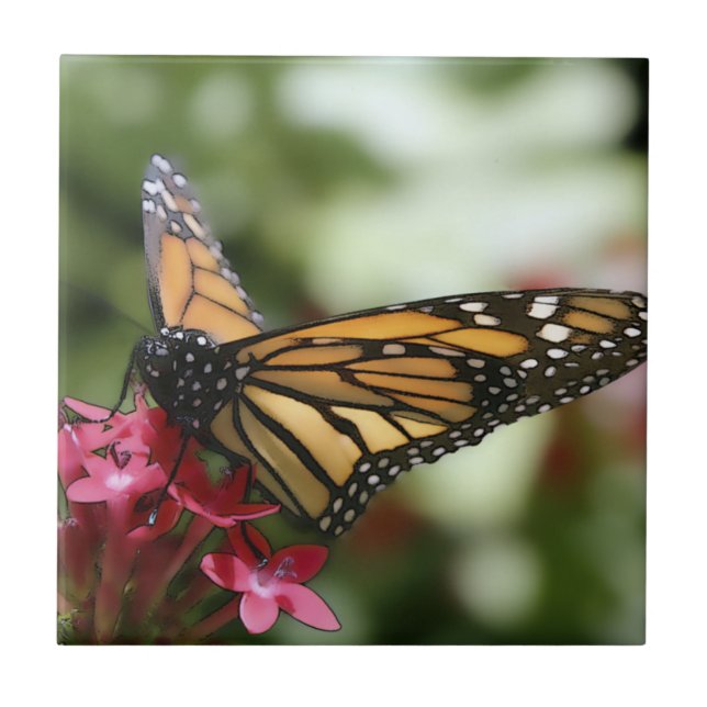 Azulejo De Cerámica Mosaico cerámico de flor de mariposa (Frente)