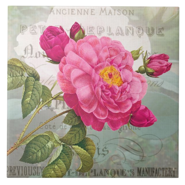 Azulejo De Cerámica Mosaico Cerámico De Flor Rosa Francesa (Frente)