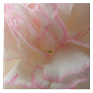 Azulejo De Cerámica Mosaico de carnación rosa y blanco