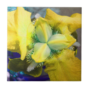 Azulejo De Cerámica Mosaico De Flor De Iris Amarillo