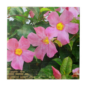Azulejo De Cerámica Mosaico de flores rosadas