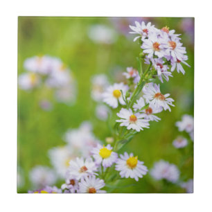 Azulejo De Cerámica Mosaico de línea de belleza