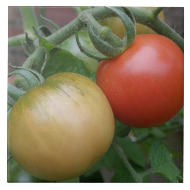 Azulejo De Cerámica Mosaico de tomates naranjas y rojos (Frente)