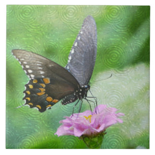 Azulejo De Cerámica Mosaico de verano de mariposa