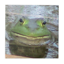 Azulejo De Cerámica Mosaico decorativo de rana