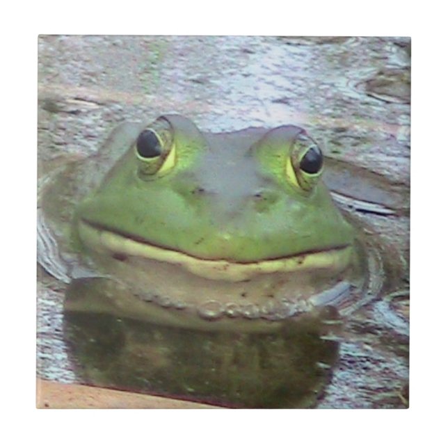 Azulejo De Cerámica Mosaico decorativo de rana (Frente)