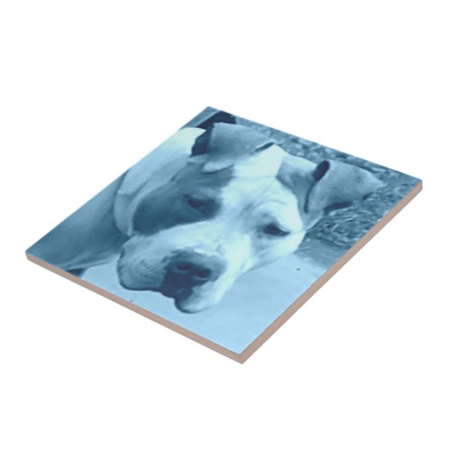 Azulejo De Cerámica Mosaico fotográfico de pozo azul (Lado)