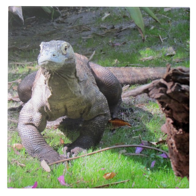 Azulejo De Cerámica Mosaico Komodo Dragon (Frente)