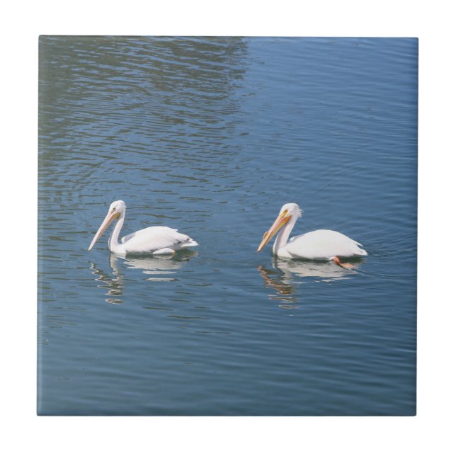 Azulejo De Cerámica mosaico pelicular (Frente)