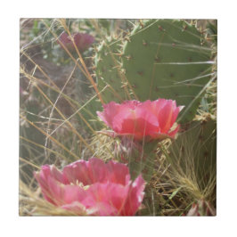 Azulejo De Cerámica Mosaicos del desierto