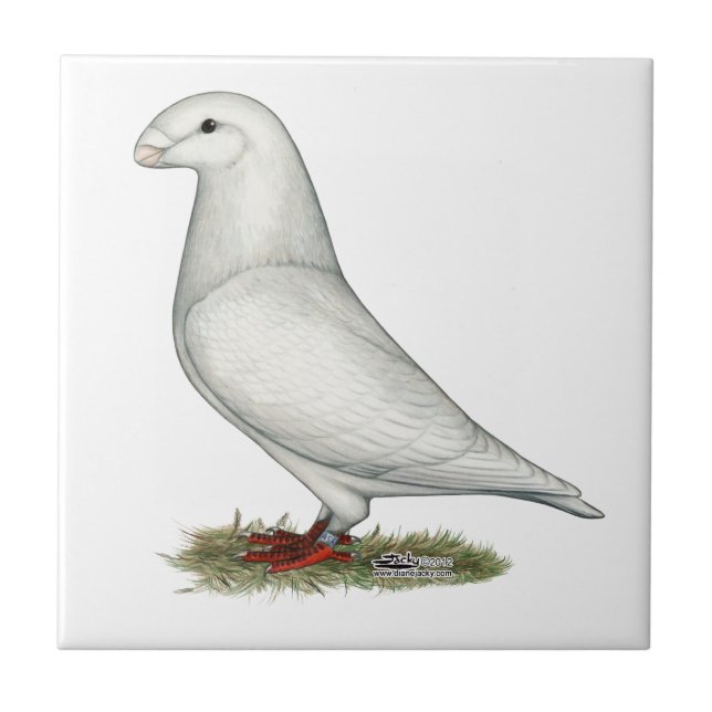 Azulejo De Cerámica Mostrar blanco de Racer (Frente)