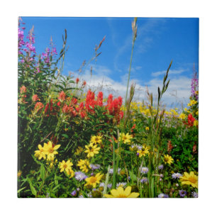 Azulejo De Cerámica Mt. Flores silvestres