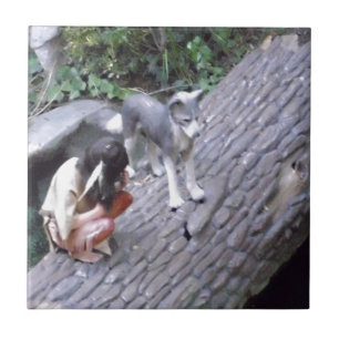 Azulejo De Cerámica Muchacho indio del nativo americano con el lobo