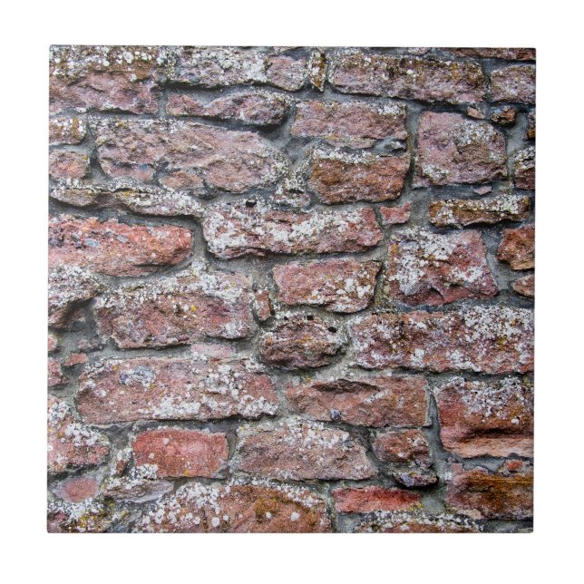 Azulejo De Cerámica Muro de piedra duro (Frente)
