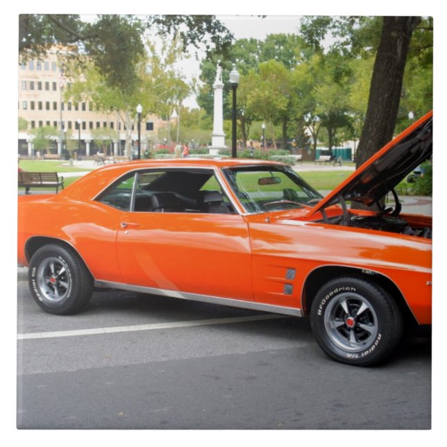 Azulejo De Cerámica Músculo anaranjado (Frente)
