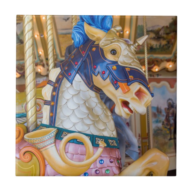 Azulejo De Cerámica Museo Público de los Grandes Rapidos (Frente)