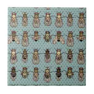 Azulejo De Cerámica Mutantes de la Drosophila
