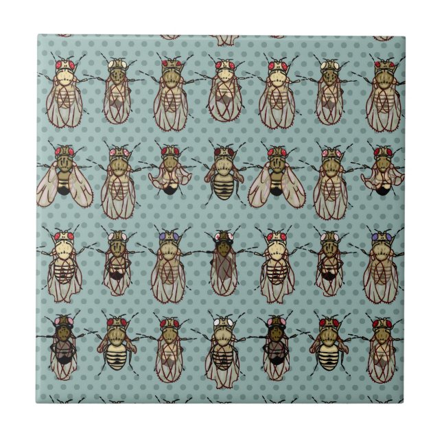 Azulejo De Cerámica Mutantes de la Drosophila (Frente)