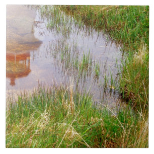 Azulejo De Cerámica N.A. Canadá, Nueva Escocia, Peggy's Cove.