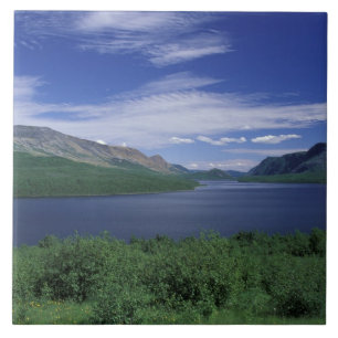 Azulejo De Cerámica N.A., Canadá, Terranova, Grose Morne Trout