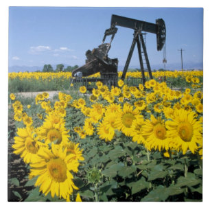 Azulejo De Cerámica Na, EE. UU., Colorado, Girasoles, Torre de perfora