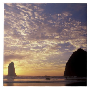 Azulejo De Cerámica NA, EE. UU., Oregón, Costa de Oregón, Canon Beach