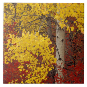 Azulejo De Cerámica NA, EE.UU., Washington, Wenatchee National Forest.