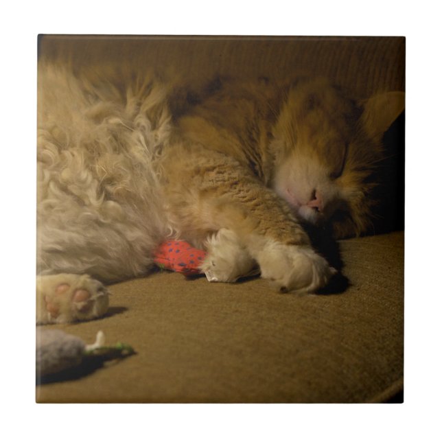 Azulejo De Cerámica Napa de gato (Frente)