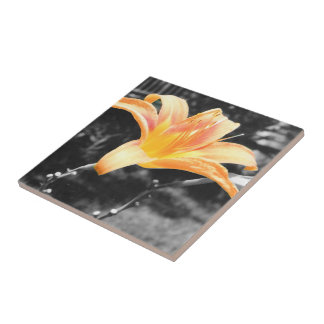 Azulejo De Cerámica Naranja Day Lily Picture